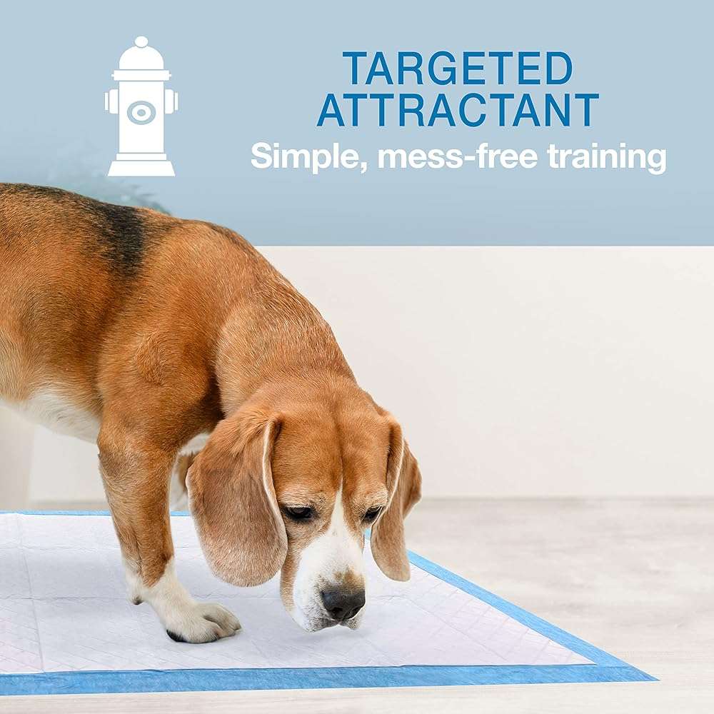 Four Paws Wee-Wee Superior Performance Unscented Pee Pads for Dogs & Puppies, Quilted Leak-Proof Dog Housebreaking Potty Training Floor Protection, 22" x 23", 30 Count - Image 5