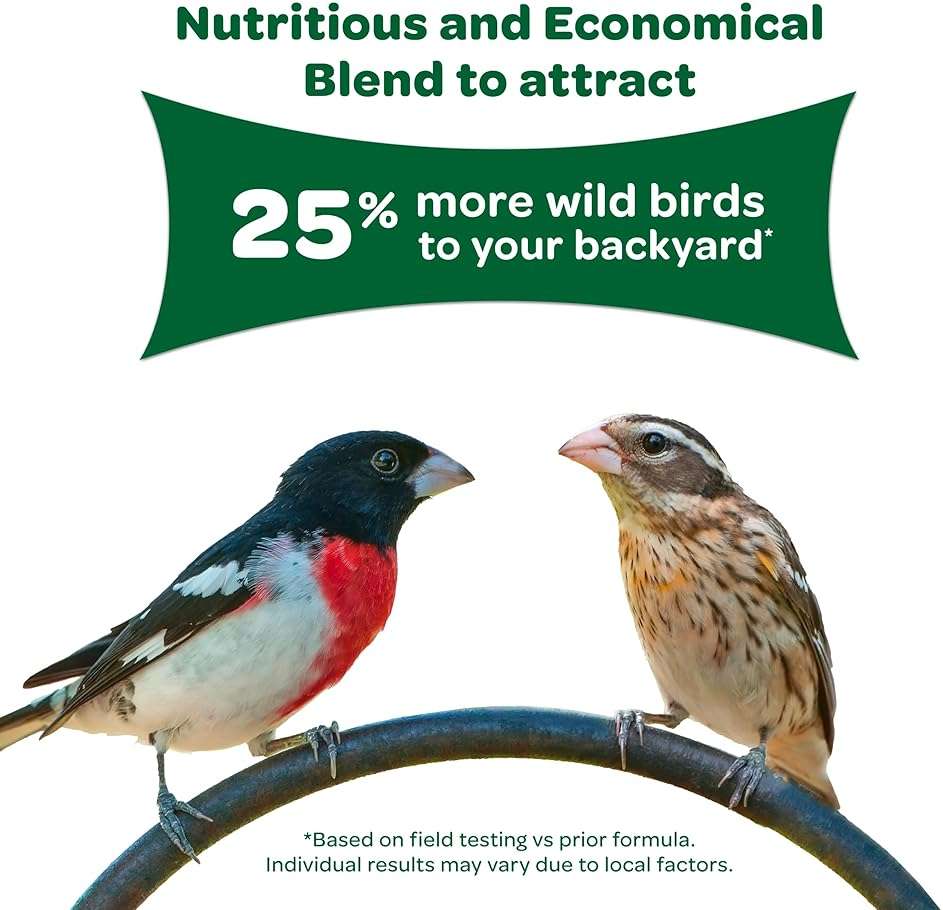 Kaytee Wild Bird Food Basic Seed Blend, 5 lb - Image 4