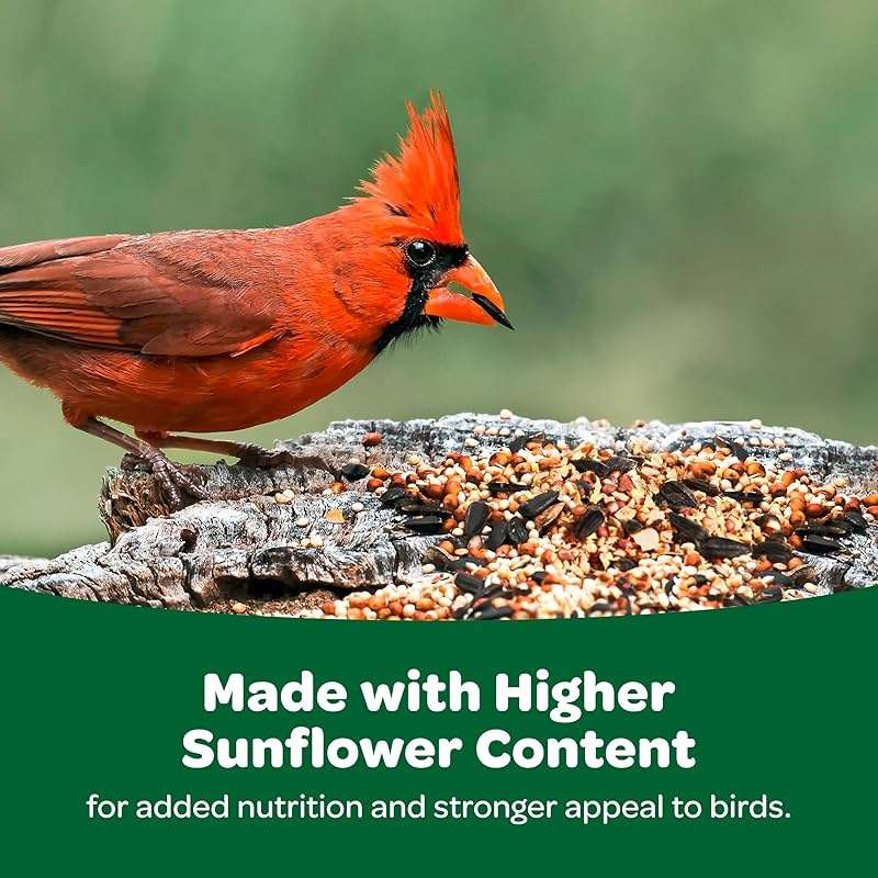 Kaytee Wild Bird Food Basic Seed Blend, 5 lb - Image 6