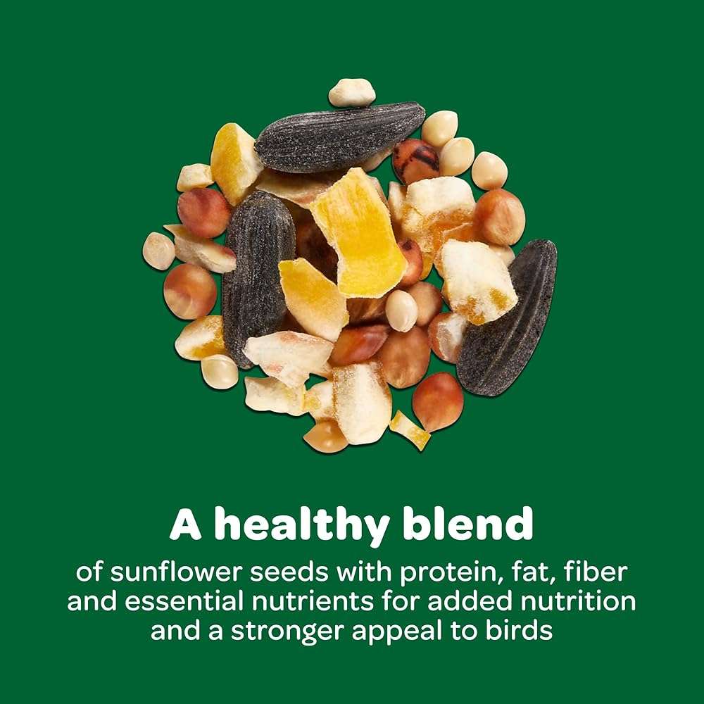 Kaytee Wild Bird Food Basic Seed Blend, 5 lb - Image 8