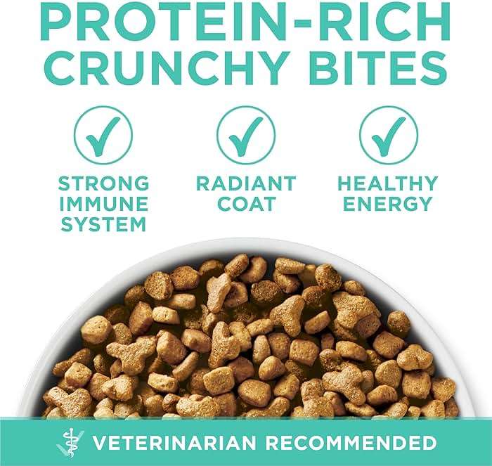 Purina ONE Sensitive Stomach, Sensitive Skin, Natural Dry Cat Food, +Plus Sensitive Skin and Stomach Formula - 7 lb. Bag - Image 2