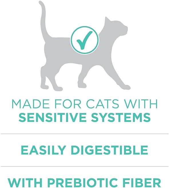 Purina ONE Sensitive Stomach, Sensitive Skin, Natural Dry Cat Food, +Plus Sensitive Skin and Stomach Formula - 7 lb. Bag - Image 4