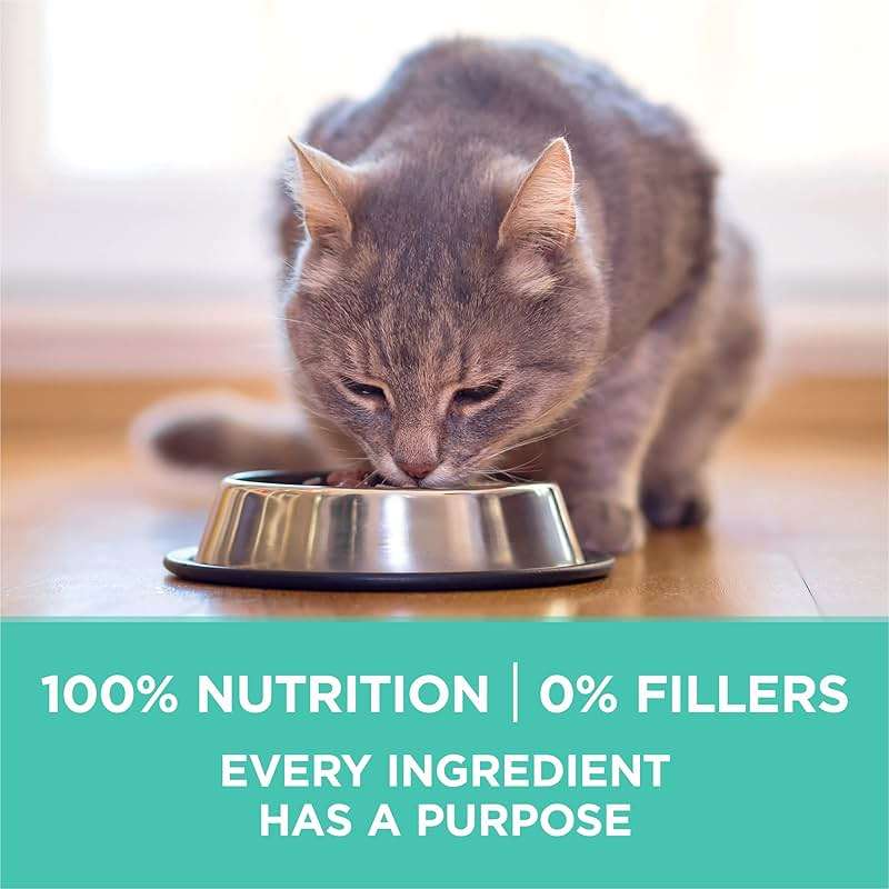 Purina ONE Sensitive Stomach, Sensitive Skin, Natural Dry Cat Food, +Plus Sensitive Skin and Stomach Formula - 7 lb. Bag - Image 7