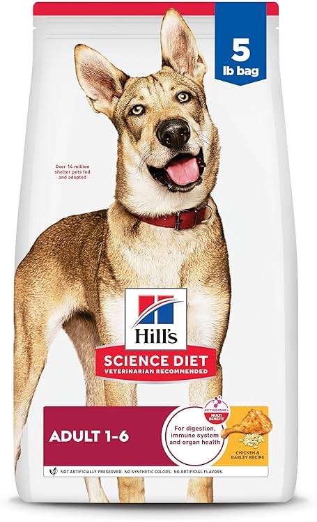 Hill's Science Diet Adult 1-6 Dry Dog Food, Chicken & Barley, 5 lb. Bag - Image 1