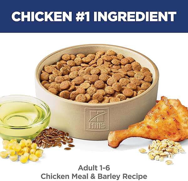 Hill's Science Diet Adult 1-6 Dry Dog Food, Chicken & Barley, 5 lb. Bag - Image 3