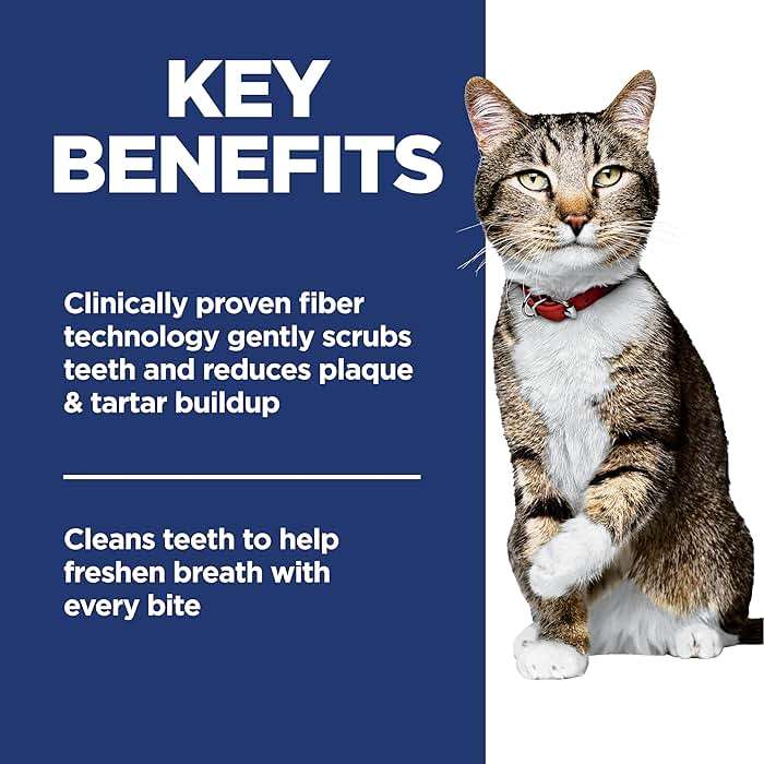 Hill's Science Diet Adult Oral Care Dry Cat Food, Chicken, 3.5 lb. Bag - Image 5