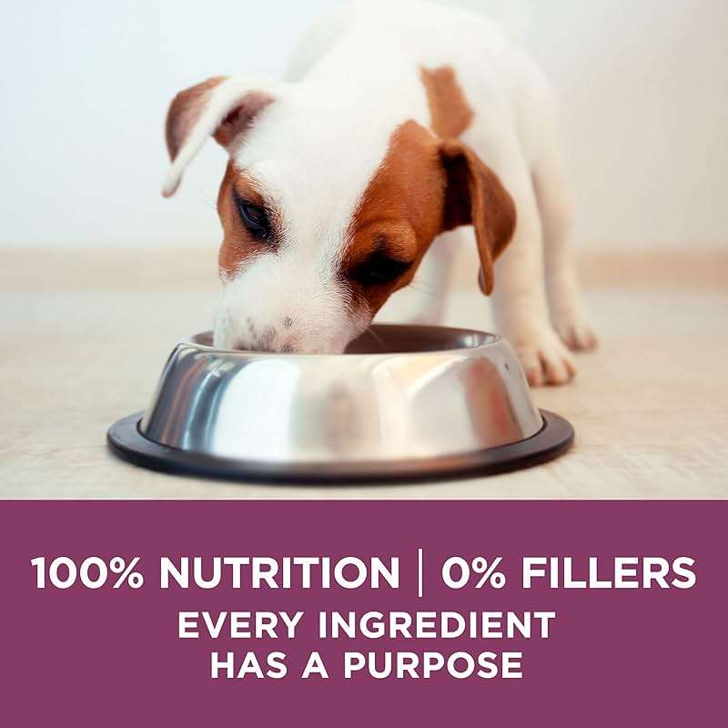 Purina ONE Plus Healthy Puppy Formula High Protein Natural Dry Puppy Food with added vitamins, minerals and nutrients - 8 lb. Bag - Image 9