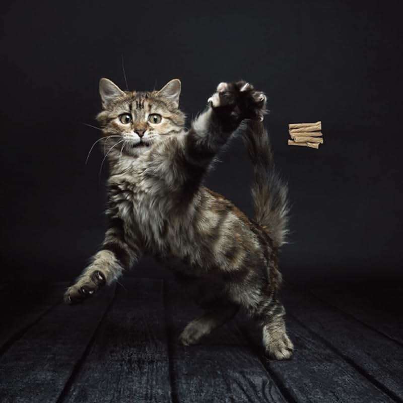 Cat Dancer Products 101 Interactive Cat Toy, Brown - Image 2