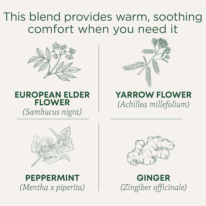 Traditional Medicinals Tea, Herbal Cold Care Seasonal Tea with Elderflower Spice, Kosher, Non-GMO, Caffeine-Free, Compostable - 96 Tea Bags (6 Pack) - Image 3