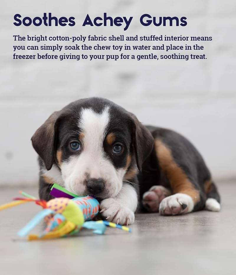 Pupstages Cool Teething Stick – Puppy Chew Toy for 0–6 Month Puppies, Teething Relief, Freezable & Durable - Image 3