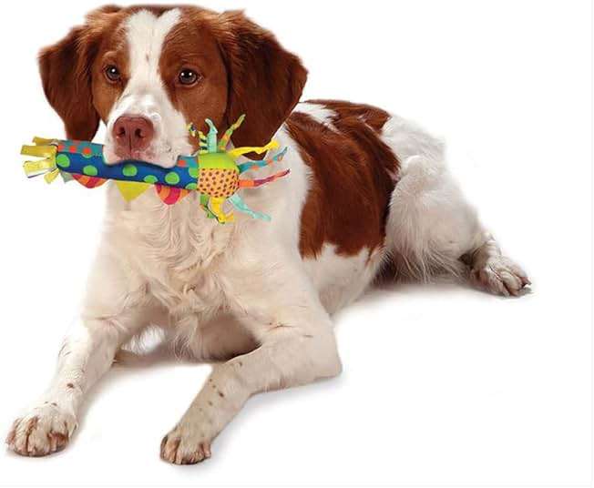 Pupstages Cool Teething Stick – Puppy Chew Toy for 0–6 Month Puppies, Teething Relief, Freezable & Durable - Image 6
