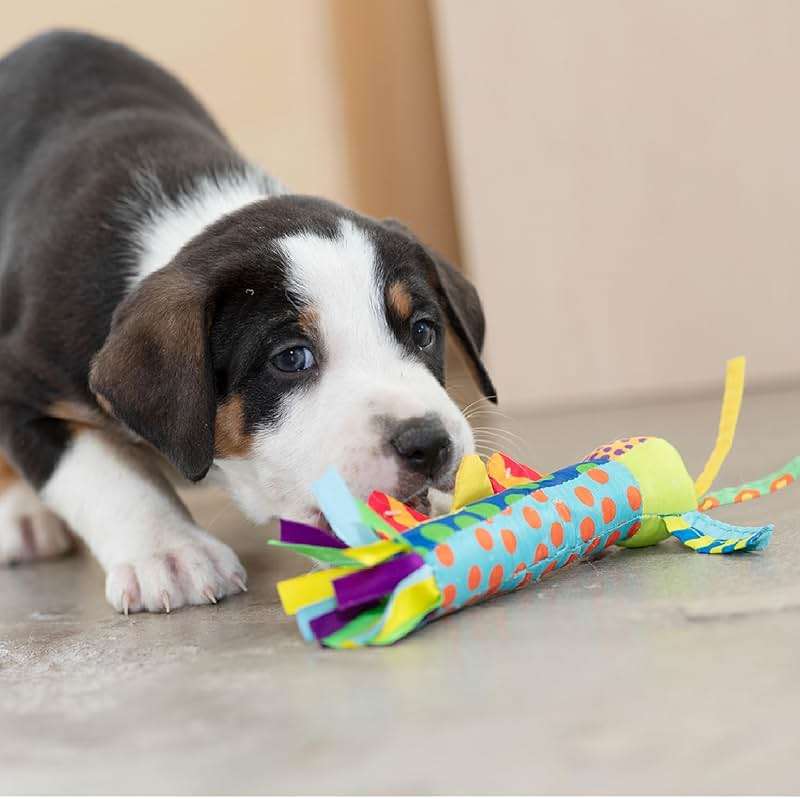 Pupstages Cool Teething Stick – Puppy Chew Toy for 0–6 Month Puppies, Teething Relief, Freezable & Durable - Image 7