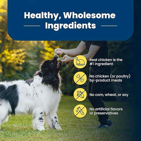 Blue Buffalo Life Protection Formula Healthy Weight Adult Dry Dog Food, Chicken & Brown Rice, Supports Immunity with Antioxidant-Rich LifeSource Bits, Promotes Lean Muscles & Weight Control, 30 lbs. - Image 7