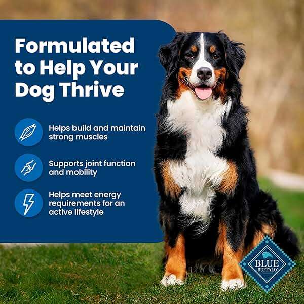 Blue Buffalo Life Protection Formula Chicken & Brown Rice Adult Dry Dog Food, Supports Immunity with Antioxidant-Rich LifeSource Bits, Promotes Healthy Muscle Development, Skin & Coat Health, 30 lbs. - Image 5