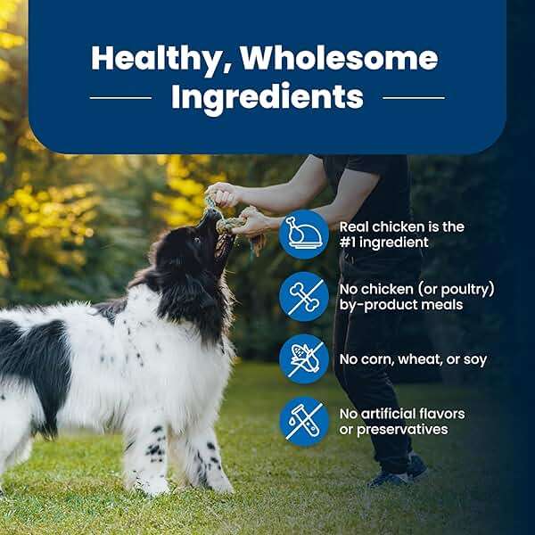 Blue Buffalo Life Protection Formula Chicken & Brown Rice Adult Dry Dog Food, Supports Immunity with Antioxidant-Rich LifeSource Bits, Promotes Healthy Muscle Development, Skin & Coat Health, 30 lbs. - Image 7
