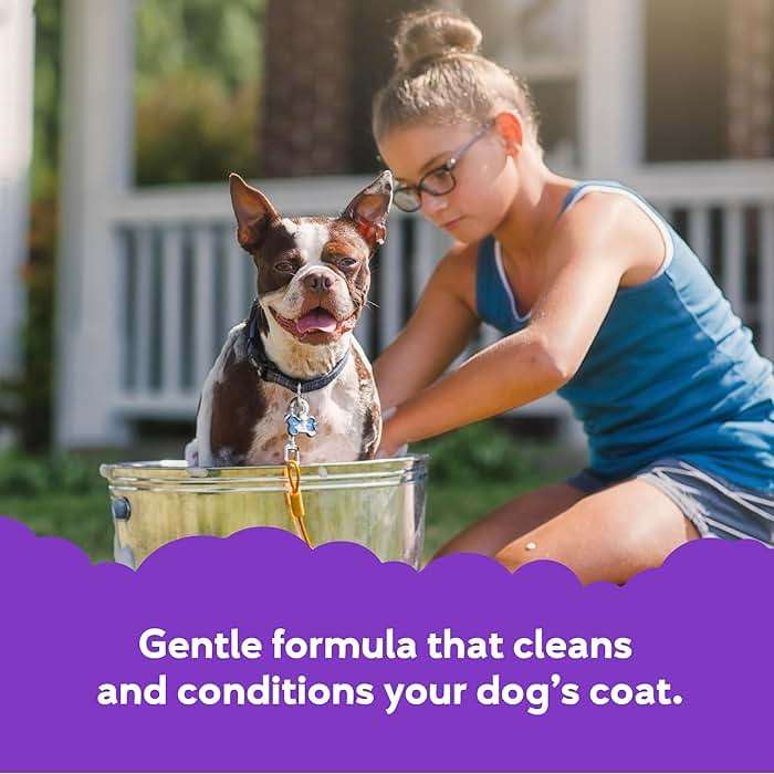 Buddy Wash 2-in-1 Dog Shampoo and Conditioner for Dog Grooming, Lavender & Mint, 1 gal. Bottle - Image 2