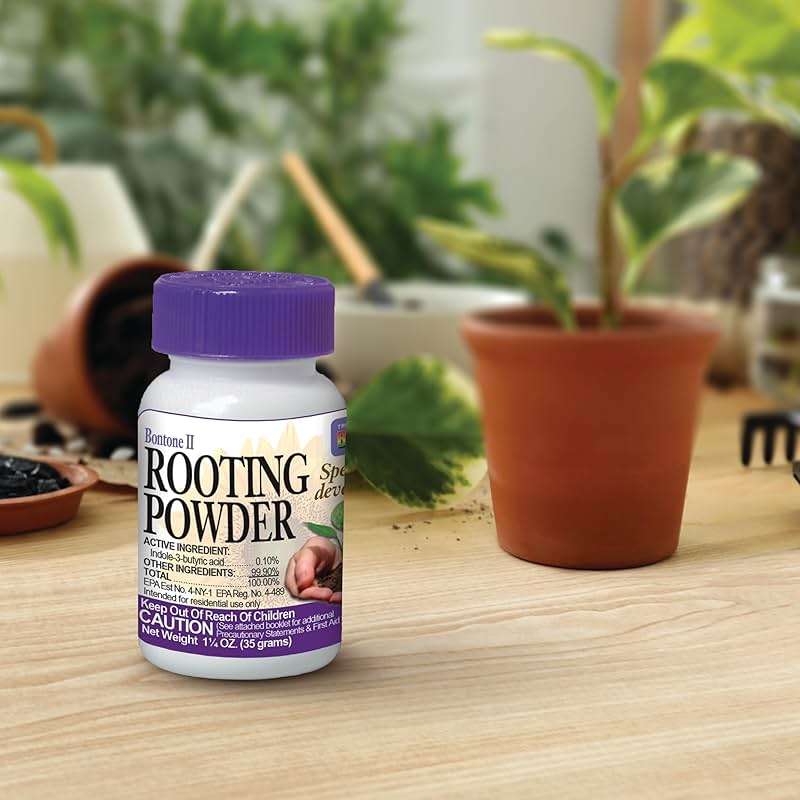 Bonide Bontone II Rooting Powder, 1.25 oz Ready-to-Use Dust for Houseplants and Transplants Speeds Root Development - Image 2