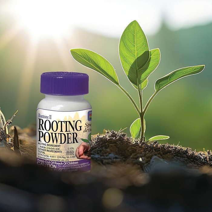 Bonide Bontone II Rooting Powder, 1.25 oz Ready-to-Use Dust for Houseplants and Transplants Speeds Root Development - Image 7
