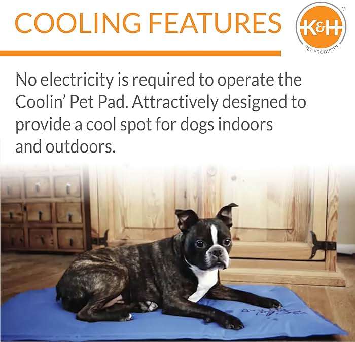 K&H Pet Products Coolin' Pet Pad Blue Small 15 X 11 Inches - Image 4