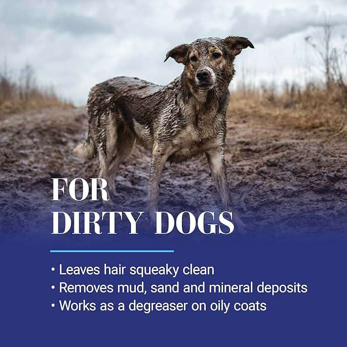Chris Christensen Clean Start Dog Shampoo, Groom Like a Professional, Pro-Vitamin Deep Cleansing Formula, Preserves Natural Oils, Removes Build Up from Other conditioners, All Coat Types, Made in USA - Image 4