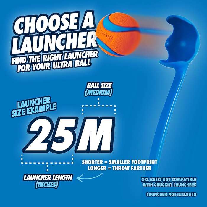 Chuckit! Ultra Ball Dog Toy - Medium Bouncy Fetch Balls For Dogs 20-60 lbs - Made from Durable Rubber - Floating Water Pet Toys - Size Medium - 2.5-inch Diameter - Pack of 2 - Image 6