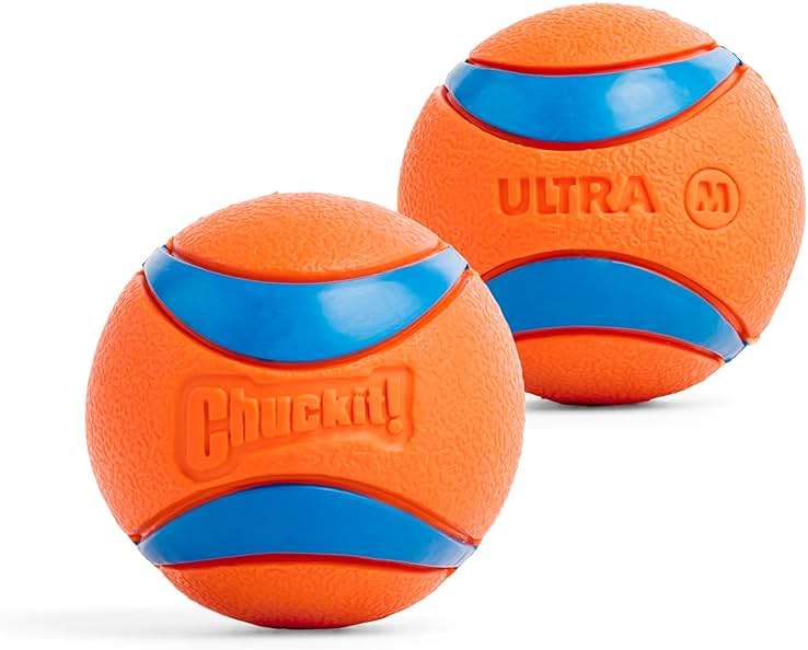 Chuckit! Ultra Ball Dog Toy - Medium Bouncy Fetch Balls For Dogs 20-60 lbs - Made from Durable Rubber - Floating Water Pet Toys - Size Medium - 2.5-inch Diameter - Pack of 2 - Image 9