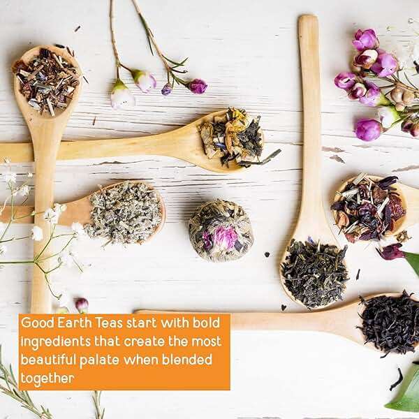Good Earth Herbal & Black Tea, Sweet & Spicy, 18 Count Tea Bags (Pack of 6) (Packaging May Vary) - Image 6