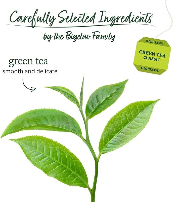 Bigelow Tea Classic Green Tea, Caffeinated Tea, 20 Count Box (Pack of 6), 120 Total Tea Bags - Image 4