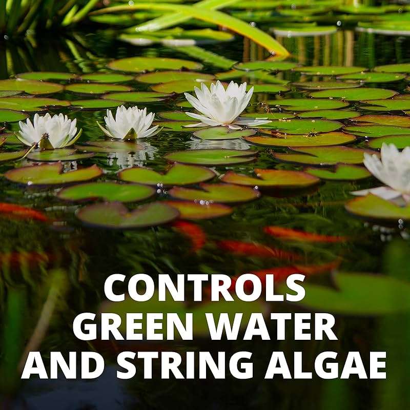 Tetra 77188 Algae Control Treats 36000 gallons, 101.4-Ounce - Image 5