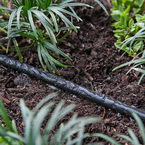 Raindrip 015005T 1/4-Inch by 50-Foot Soaker Hose Tubing for Drip Irrigation, Use in Vegetable Garden, Planters, and Borders, 50-Foot, Black - Image 4