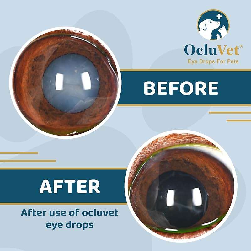 OcluVet Eye Drops for Pets | Clinically Studied Antioxidants for Pets | Made in the USA | Includes 2% N-Acetyl-L-Carnosine (NAC) | 16mL - Image 4