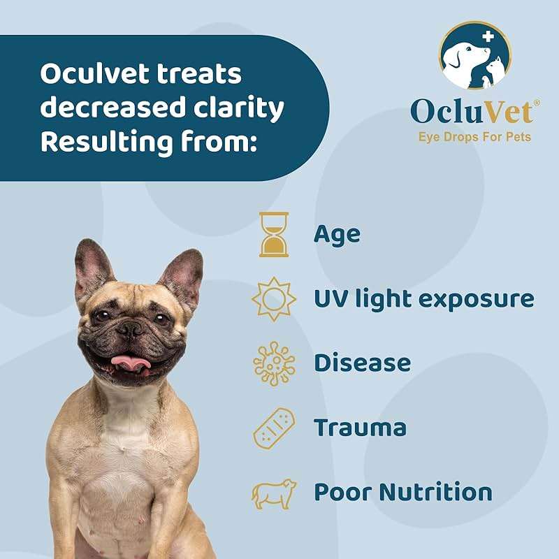 OcluVet Eye Drops for Pets | Clinically Studied Antioxidants for Pets | Made in the USA | Includes 2% N-Acetyl-L-Carnosine (NAC) | 16mL - Image 5