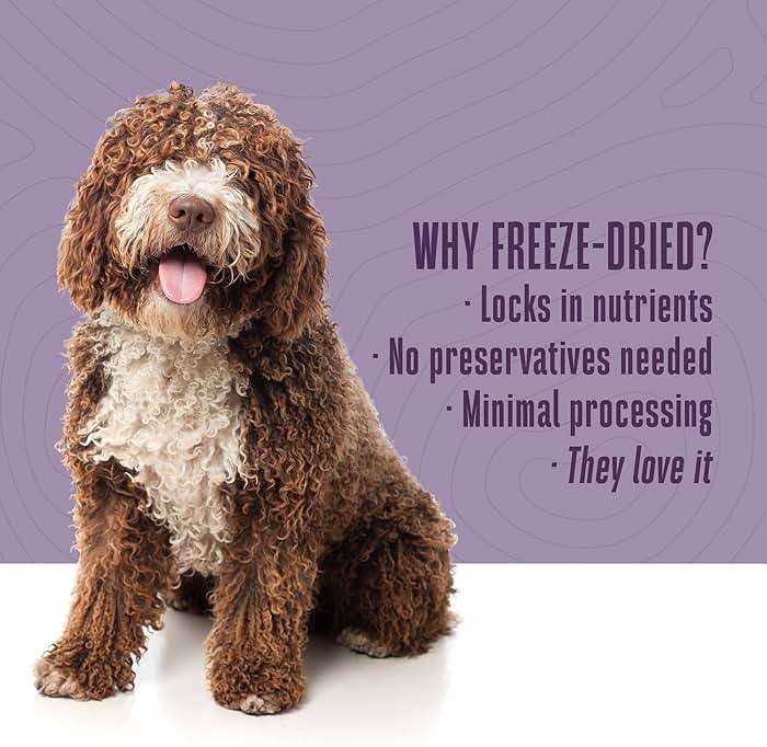 Whole Life Dog Just One Chicken Freeze Dried Dog Treats - Human Grade High Protein Food, Healthy Training Snacks, Freeze Dried Food Toppers, USA Made Natural Treats - 21 oz (Value Pack of 1) - Image 4