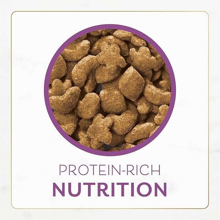 Purina Fancy Feast Dry Cat Food with Savory Farm-Raised Chicken and Turkey - 7 lb. Bag - Image 10