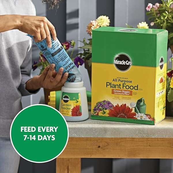 Miracle-Gro Water Soluble All Purpose Plant Food - Fertilizer For All Indoor or Outdoor Plants including Roses, Flowers, Vegetables, Houseplants, Trees, and Shrubs, 10 lbs. - Image 10