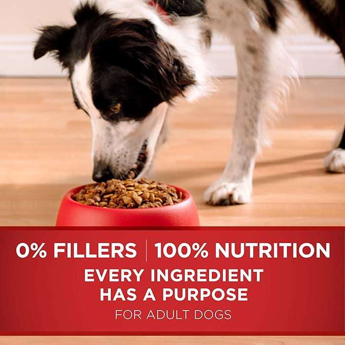 Purina ONE Dry Dog Food Lamb and Rice Formula - 16.5 lb. Bag - Image 7