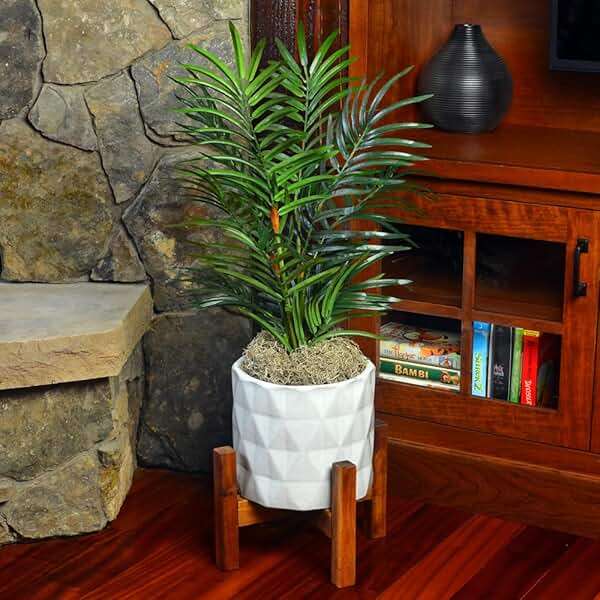 Mosser Lee ML0560 Spanish Moss, 250 Cubic Inches - Image 2