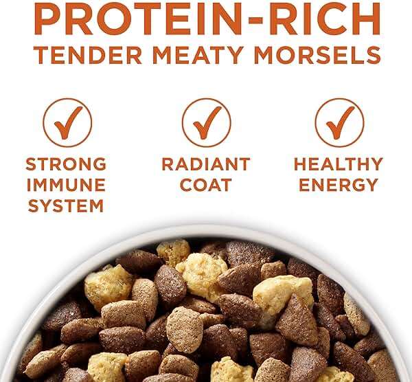Purina ONE Plus Healthy Weight High-Protein Dog Food Dry Formula - 16.5 lb. Bag - Image 2