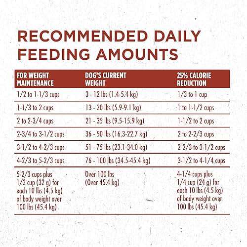 Purina ONE Plus Healthy Weight High-Protein Dog Food Dry Formula - 16.5 lb. Bag - Image 11