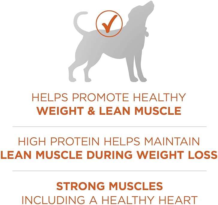 Purina ONE Plus Healthy Weight High-Protein Dog Food Dry Formula - 16.5 lb. Bag - Image 4
