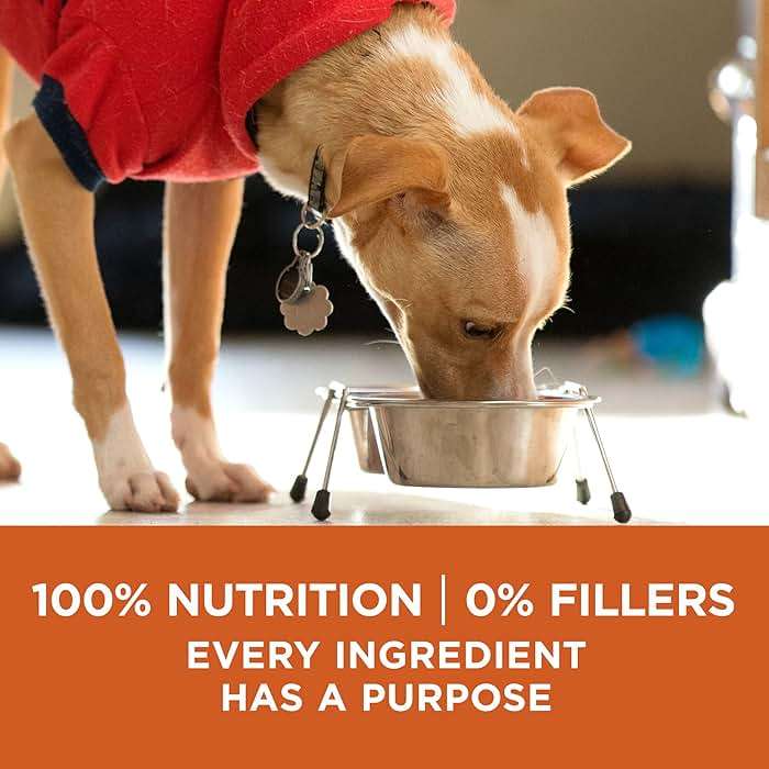 Purina ONE Plus Healthy Weight High-Protein Dog Food Dry Formula - 16.5 lb. Bag - Image 8