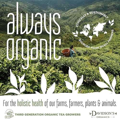 Davidson's Organics, Decaffeinated English Breakfast, Loose Leaf Tea, 16-Ounce Bag - Image 4