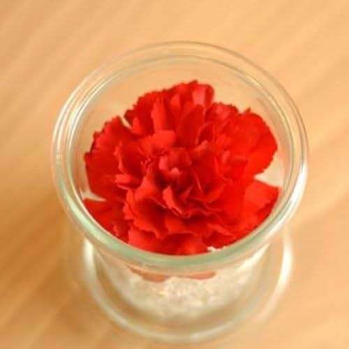 Weck M0LD145ML Molded Glass Canister - Image 2