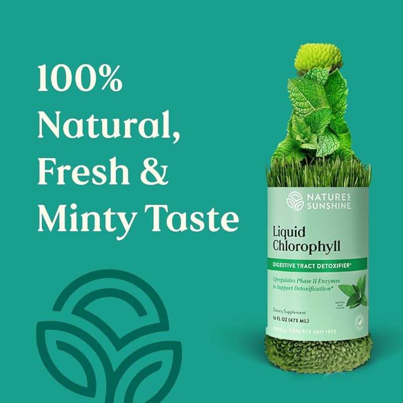 Nature's Sunshine Liquid Chlorophyll - Immunity Support, Detox & Cleanse, Chlorophyll Liquid Drops with Spearmint Oil, Natural Energy Boost, Internal Deodorant - 16 Fl Oz - Image 3