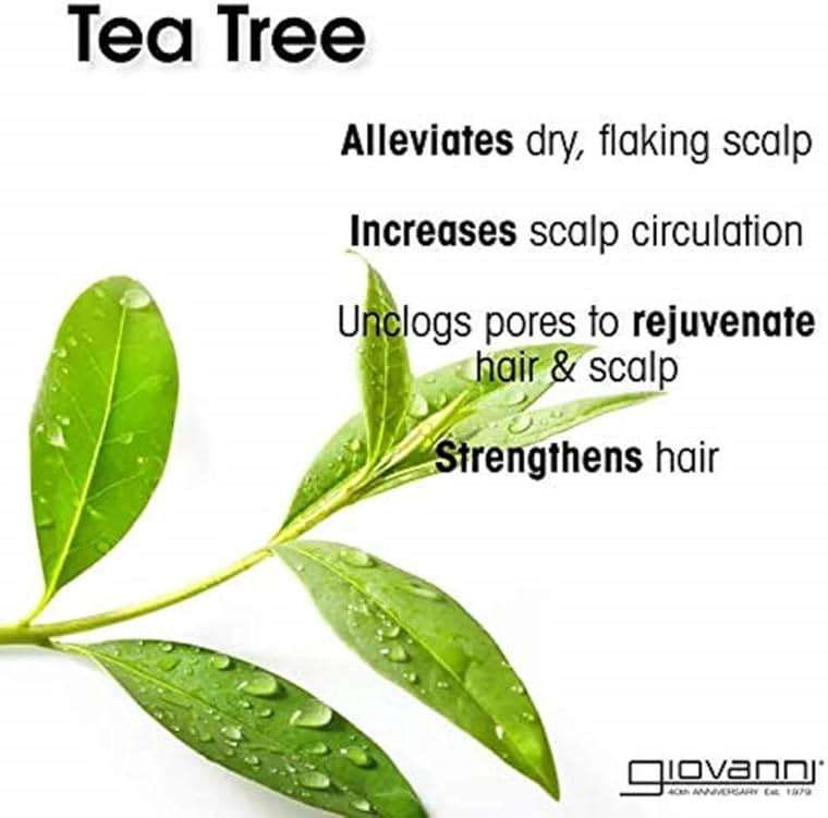 GIOVANNI Tea Tree Triple Treat Invigorating Conditioner, 8.5 oz. - Cooling Peppermint, Eucalyptus, Rosemary, Helps Dry Flaking Scalp, Lauryl and Laureth Sulfate Free, Paraben Free - Image 3