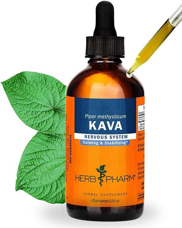 Herb Pharm Kava Root Liquid Extract: Reduces Stress, Relaxing, Vegan, Non-GMO Kava Kava Tincture for Calm & Relaxed Mind, Made with Noble Kava, Gluten-Free, Up to 3 Month Supply, 4 oz - Image 1