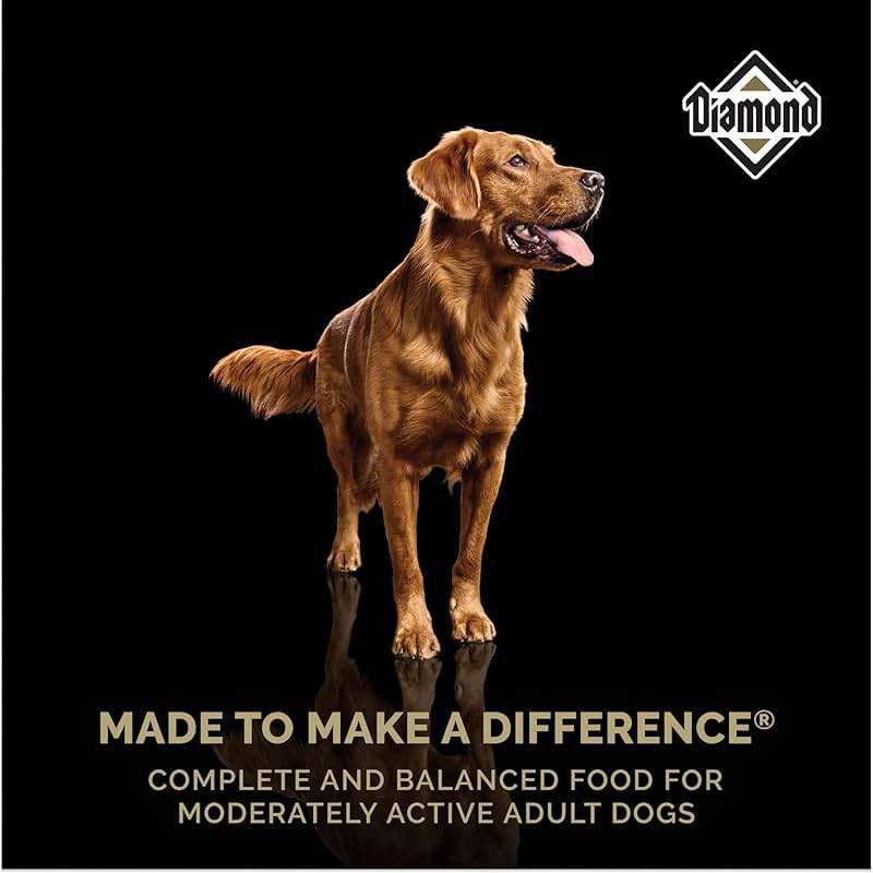Diamond Maintenance Adult Dry Dog Food 22/12 for Moderately Active Dogs 40lb Bag - Image 3