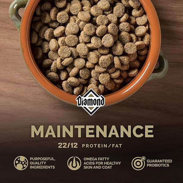 Diamond Maintenance Adult Dry Dog Food 22/12 for Moderately Active Dogs 40lb Bag - Image 4