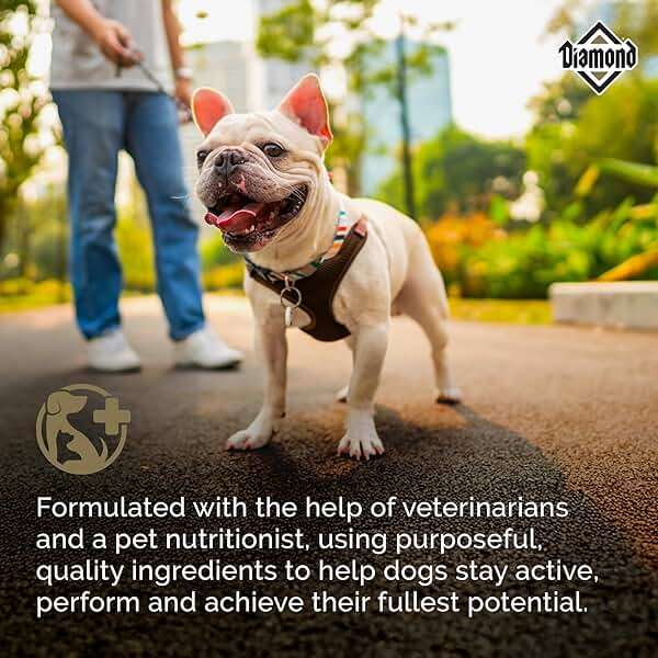 Diamond Maintenance Adult Dry Dog Food 22/12 for Moderately Active Dogs 40lb Bag - Image 5