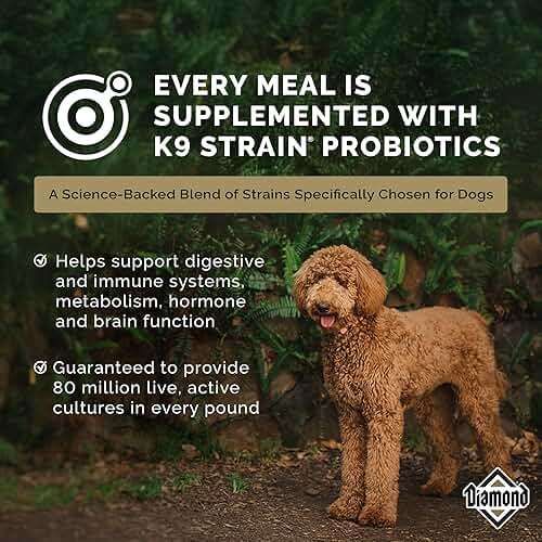 Diamond Maintenance Adult Dry Dog Food 22/12 for Moderately Active Dogs 40lb Bag - Image 6